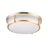 Maxim Rogue - 2 Light Flush Mount-Satin Brass Finish