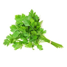 Cilantro Coriander Seed