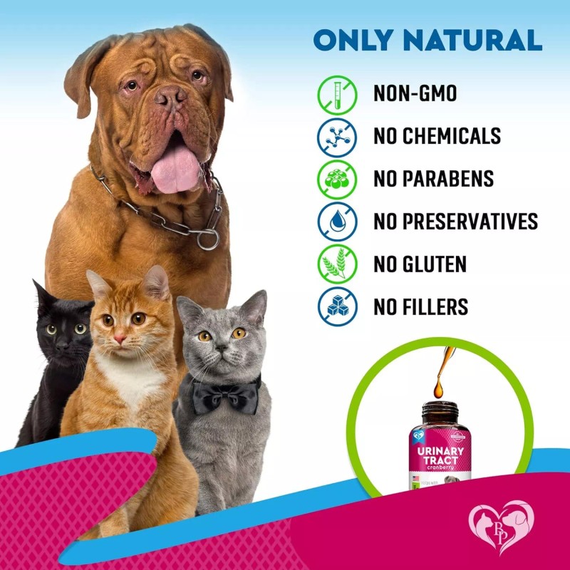 Beloved Pets Natural Urinary Tract Support Supplement For Cats And