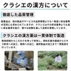 【第2類医薬品】加味帰脾湯エキス顆粒クラシエ 45包