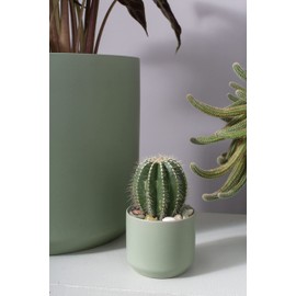 Kendall Ceramic Pot for Plant and Flowers | Ceramic Vase Decor for Home or Office l Indoor and Outdoor Planter for Any Event Decoration (3.25"x 2.75", Green) (97520.05)