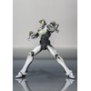 S.H. Figuarts Wild Tiger -Movie Edition-
