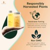 Aceite Salvia Clary Vegan Omega Suplemento Pescado Natural Suplementos Antioxidantes
