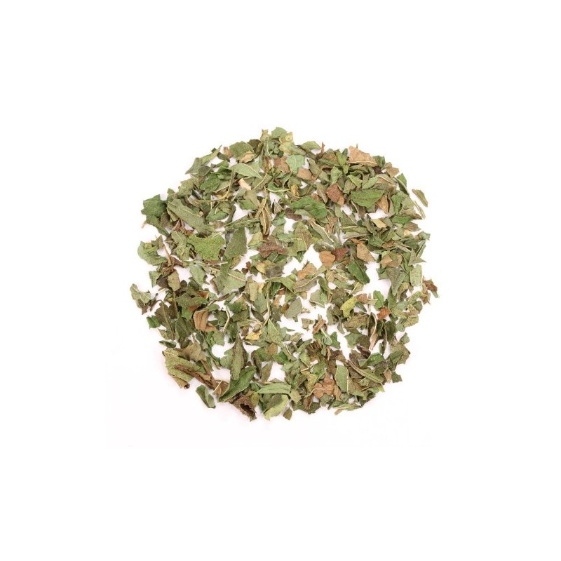 Adagio Teas Peppermint, Premium Loose Herbal Tea (227g catering bag)
