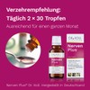 Dr. Koll Nerven Plus: Support for your nervous system with