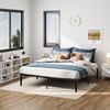 OLALITA 18 Inch Metal Platform Bed Frame, Queen Size Bed