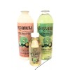 Bergamot Shampoo 500ml plus Bergamot Conditioner 500ml plus Bergamot Oil
