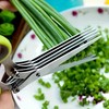 Innov2u 5-Layered Forged Stainless Steel Kitchen Scissors, Ultra-Sharp Herb Shredder,
