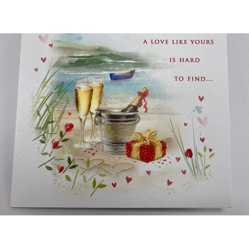 To A Special Sister and Brother in law Anniversary Card
