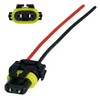 L & P Car Design 2x HB3 HB4 Lamps Plug