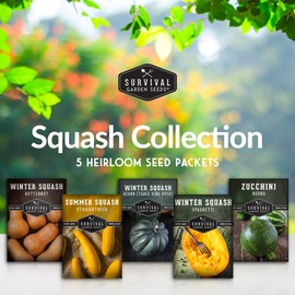 Squash Seed Collection to Plant - 5 Packs of Summer & Winter Squash - Round Zucchini, Straightneck Yellow, Spaghetti, Butternut, Acorn - Non-GMO Heirloom Open-Pollinated - Survival Garden Seeds