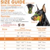 Dog Muzzle – Lightweight Breathable Basket Muzzle, Anti-Biting & Chewing,