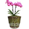 Grdthzey Ceramic Orchid Pots with Drainage Hole 6'' (mossgreen)