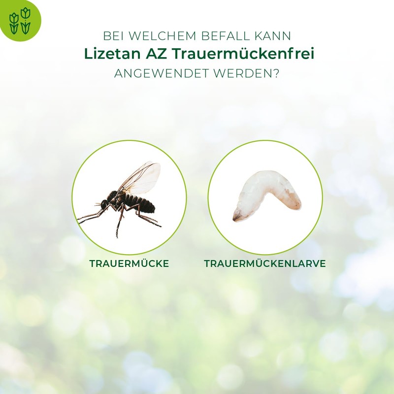 Lizetan AZ Fungus Gnat-Free 75 ml