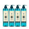 GS Meditin 1419 Youth Shampoo 520ml x 4 for dandruff