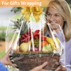 COIDEA 18 Pcs Large Cellophane Bags for Gift Baskets Wrapping