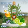 Shampoo Huichol Bergamota 400 ml Crecimiento y Anti Frizz