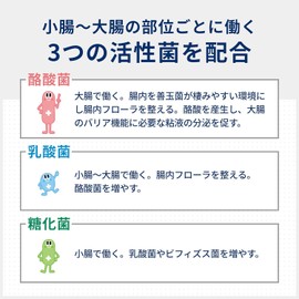 【2個セット】ビオスリ― Hi錠 整腸薬 270錠×2個 便秘や軟便に Anniversarich プチギフト付 [指定医薬部外品]