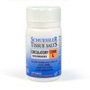 Schuessler Tissue Salts Comb L (Circulatory Disorders) 125Tabs
