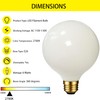 LED Large Globe Light Bulb Dimmable E26, G40 LED Bulb