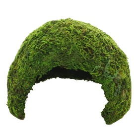 Hobby 34602 Jungle Cave 2, 118 g