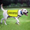 Reactive Dog Jacke Vest Space Needed Unpredictable Twat Dog Vest