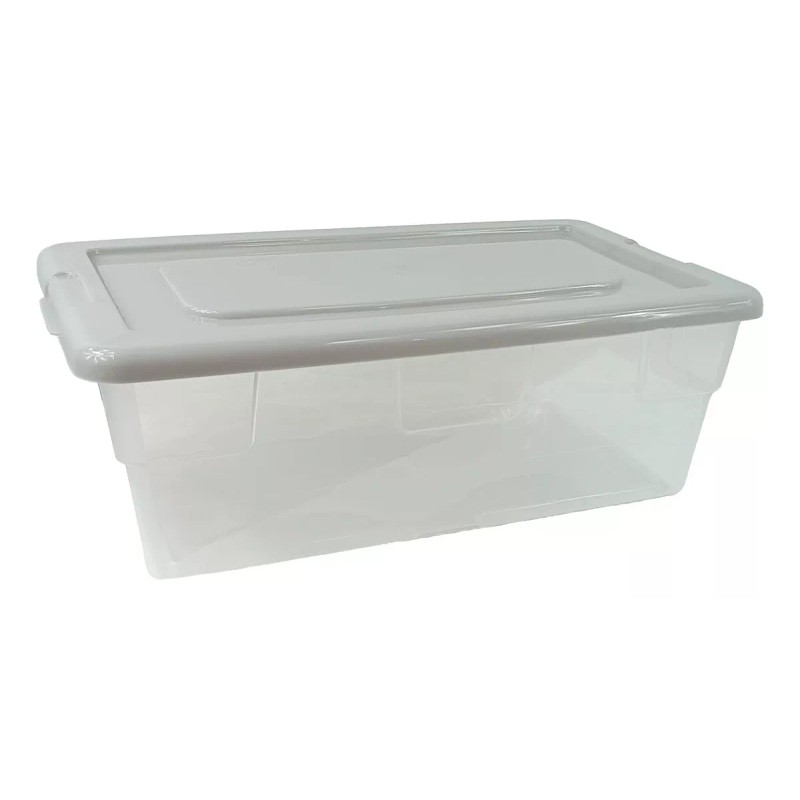 Boris Caja Organizadora De Plastico 34.7cm De Largo Almacenamiento