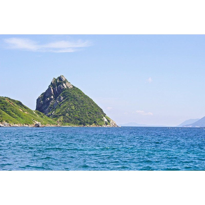 Yagate Yakame Raw Squeezed Tsubaki Oil, 4.2 fl oz (120