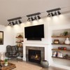 SEEBLEN 4-Light Plug-in Track Lighting, Adjustable Ceiling Spotlight,Industrial Black Kitchen