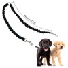 3 Way Black No-Tangle Triple Coupler Dog Bungee Walking Leash