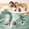 EHEYCIGA Heated Blanket - Full Size, 9 Heating Levels, 10