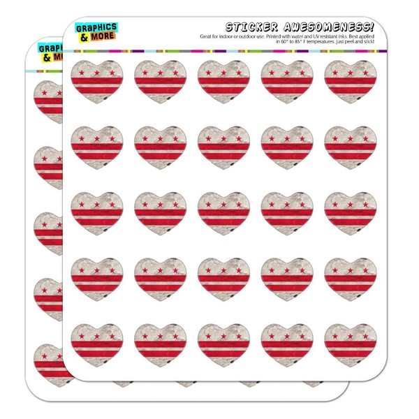 Rustic Washington DC District of Columbia State Flag Distressed USA