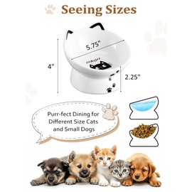Yedio Porcelain Raised Cat Bowl, Tilted Cat Food Bowl with Anti Slip Band, Stress Free, Elevated Porcelain Pet Bowl Protect Pet's Spine, Backflow Prevention, Dishwasher Safe, White
