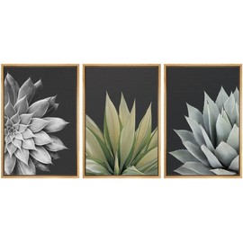 SIGNWIN Framed Canvas Print Wall Art Trio of Echevaria Succulents Floral Plants Photography Modern Art Minimalist Closeup Dramatic Black and White for Living Room, Bedroom, Office - 24"x36"x3 Natural