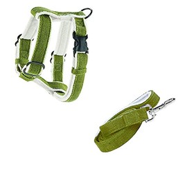 Finch Goods Cozy Natural Harness with Soft Lining (L Harness + Leash Combo, Sage Green)