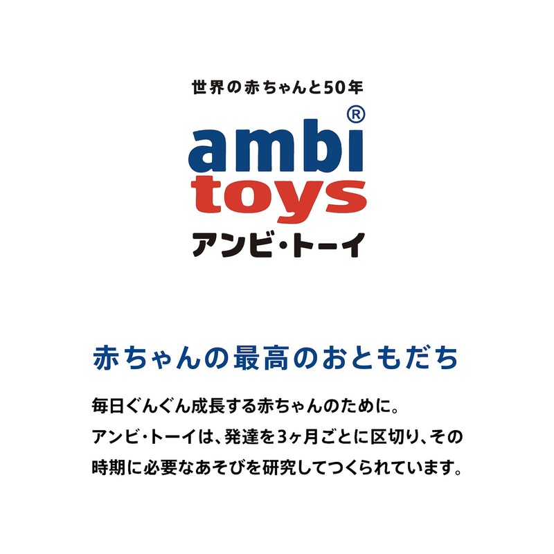 BorneLund AM31133J Ambi Toys Twin Rattle 6 Months and Up