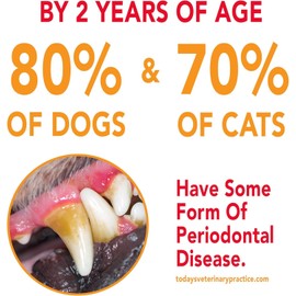 PETR0DEX Natural Toothpaste Dog - Peanut - 2.5 Oz (3-Pack)