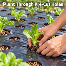 Black PE Mulch Film for Vegetable Gardens and Greenhouses, 37.4 or 53.1 Inch Width, 32.8 ft Length