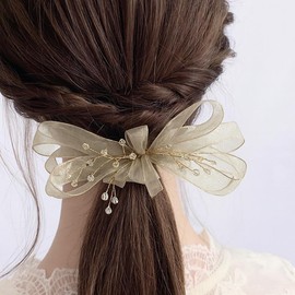 Alpha Depot Hair Clip, Hair Ornament, Tulle Ribbon, Hair Accessory, Korean Style, Women's, Kids, Cute, Stylish, Weddings, Recitals, Parties, Work, School, Gift (Champagne Gold)