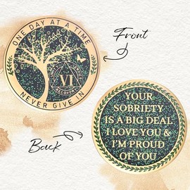 LParkin LParkin 24 Hours, 1/2 YearSobriety Chip, Tree of Life Recovery Coin, AA Recovery Medallion, Anniversary Token Sobriety Gifts, Alcoholics Anonymous Medallion (6 Years)