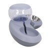 Double Cat Bowls Pet Food and Water Bowl Set Tilted
