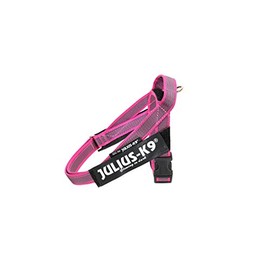 Julius-K9 IDC Belt Harness, safety pink