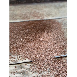 Unearthed Whole Flax Seed - Premium Quality Plant-Based Protein, Gluten-Free, Non-GMO, Kosher, Vegan, Raw Seeds, Rich in Omega-3, Great for Baking, Topping, Smoothies & Beverages (25lb)