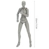 PVC Artists Action Figure Model Human Drawing Model Woman Mannequin