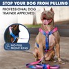 Spark Paws No Pull Dog Harness for Large Dogs, Heavy
