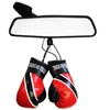 Trinidad Flag Mini Boxing Gloves