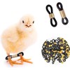 50 Pcs Black Chick Splay Leg Hobble Chicken Leg Bands,