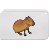'Sleepy Capybara' Plastic Ice Scraper (IC00036342)