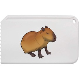 'Sleepy Capybara' Plastic Ice Scraper (IC00036342)