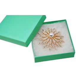 6 Pack Cotton Filled Teal Green Color Cardboard Jewelry Necklace Earring Bangle Anklet Pendant Bracelets Watch Gift and Retail Boxes Size 3 1/2" x 3 1/2" x 1" Inch - by R J Displays (Teal Green)